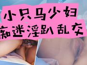 小只马少妇痴迷淫趴乱交