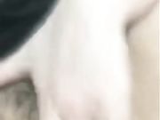 快点草我逼好痒最近非常受宅男欢迎的童颜美乳萌妹子特污兔跑车福利